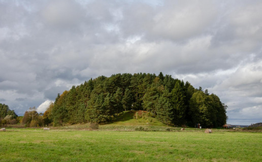 14. Alkos alkakalnis.jpg